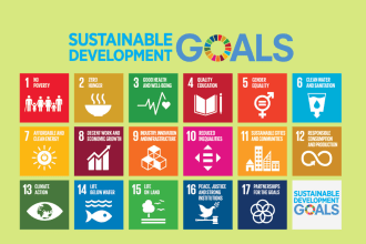 write on sdgs and sustainability