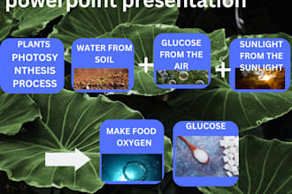 design powerpoint presentation, canva and google slides