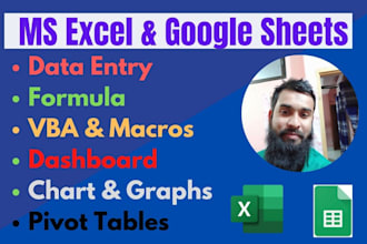 proficient ms excel and google sheets formula, vba, macro work