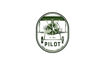 design excellent better bi plane logo for you