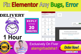 fix elementor errors, bugs, and design issues within 1 hour