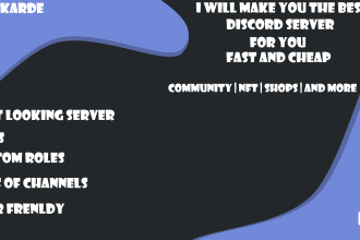 make a professional looking discord server for you