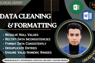 do excel data cleaning, formatting, clean up, organizing to your needs