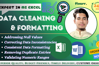do excel data cleaning, formatting, clean up, organizing to your needs