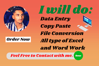 do data entry and copy paste job