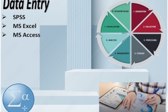 do data entry in spss, ms excel, ms access and typing work