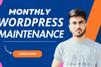 do wordpress website maintenance, wordpress support and help