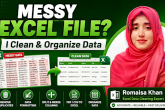 do excel data cleaning and formatting