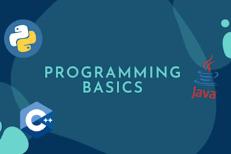 teach you basics of programming
