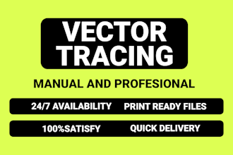 professional vector tracing and redraw manually
