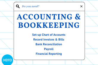 do xero bookkeeping, payroll and other accounting services