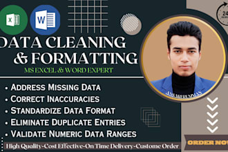do excel data cleaning and formatting services