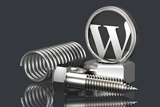 setup or customize wordpress theme
