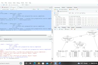 provide r studio programming services
