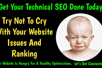 do technical SEO for your wordpress or  shopify or bigcommerce
