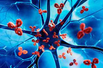 write parasitology helminthology medivector biology summary
