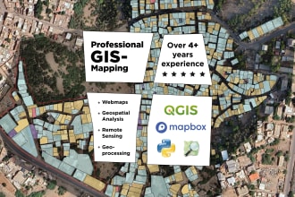 do professional gis mapping and interactive web maps