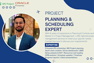 develop gantt chart, timeline, excel dashboard, schedules