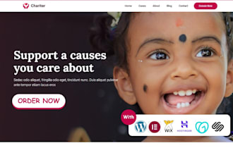 non profit website, 501c3 nonprofit charity website on wordpress, wix, godaddy