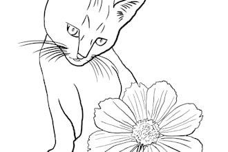 design a professional line work tattoo