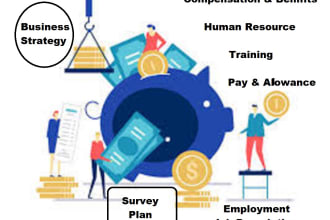 provide HR and business management services