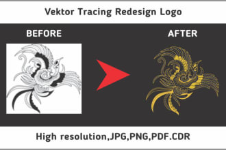 redesign, modify, vectorize, edit, and fix your logo