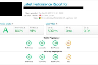 do premium speed up wordpress website, speed optimization