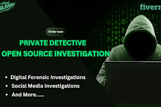 perform open source investigation,background check plus osint