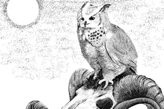 create super amazing pen and ink line art illustration