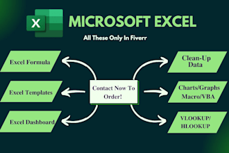 perform excel data entry, cleanup, and formatting