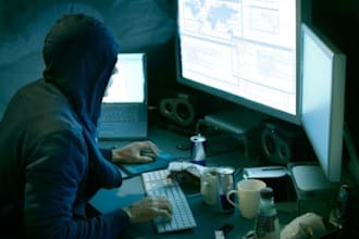 test the security of your blog or website