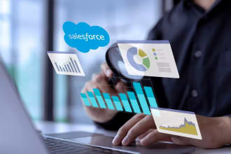 be your salesforce administrator