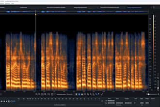 give you the sound or audio you need
