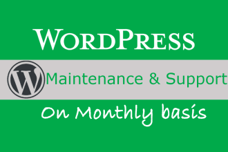 provide wordpress website maintenance and support