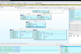 remove malware, do static and dynamic analysis