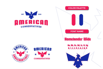 design attractive political campaign logo for you