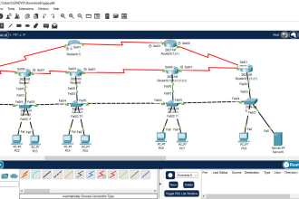 do assist you in packet tracer and troubleshooting