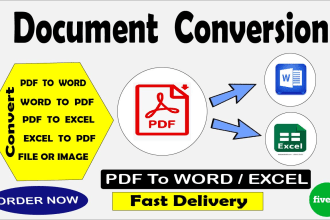 convert pdf to word, excel, file conversion, excel data entry