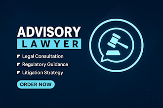 give you legal advice