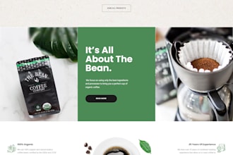 build shopify website, shopify store, theme editing and shopify web design