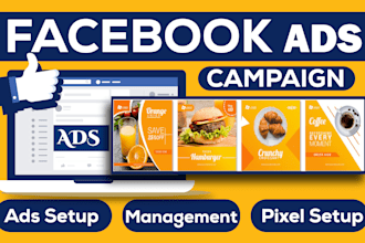 be your facebook ads campaign manager, run fb ads campaign
