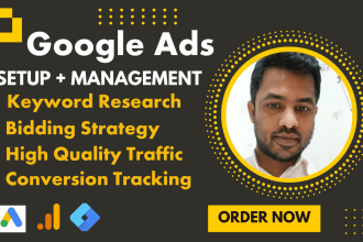 audit and optimize highly profitable google ads and PPC campaigns usa