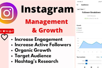 do instagram promotion super fast organic growth marketing