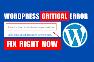 fix your website critical error in a few minutes