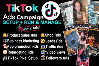 setup and manage tik tok ads campaign, tik tok video ads, tik tok ads