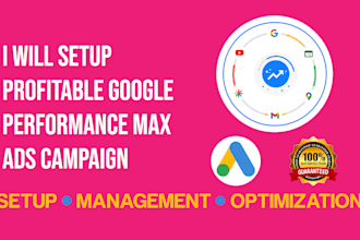 setup profitable google performance max ads campaign