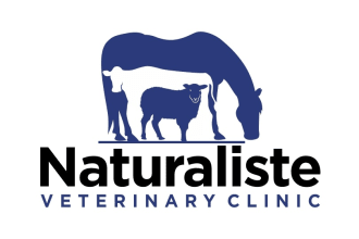 design awesome veterinary clinic logo within 14 hours