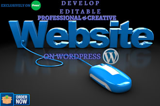 design or redesign wordpress website maker with elementor pro