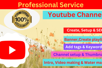create, setup and manage your youtube channel including seo