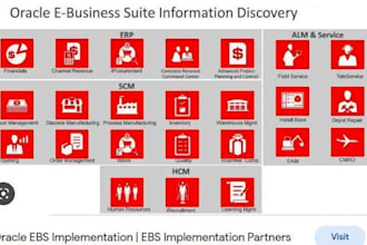 be your oracle ebs technical consult and implement partner